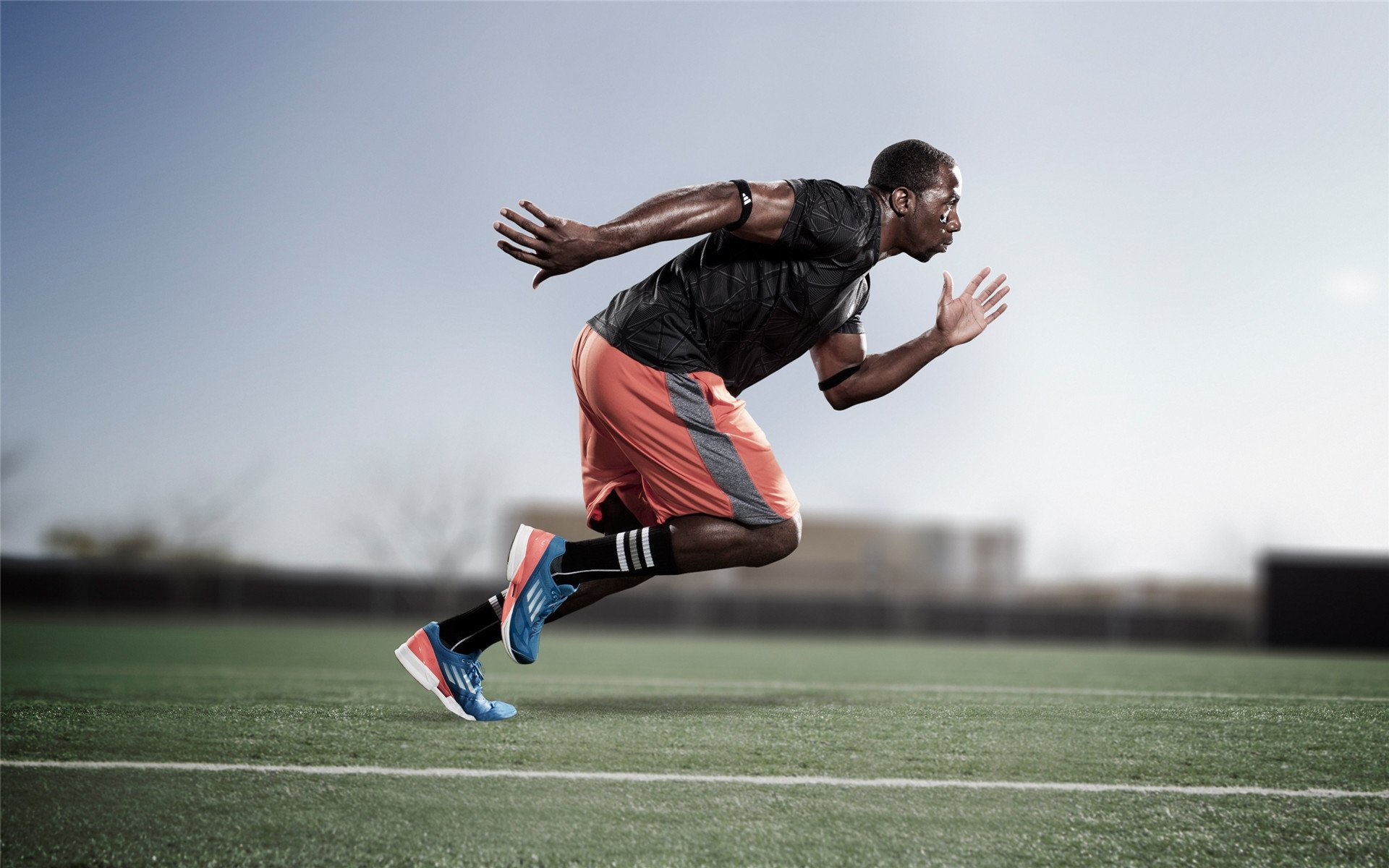 丹·卡特：通过每次精准踢球，为全黑队打下胜利基础，卡特 丹(carter dane)