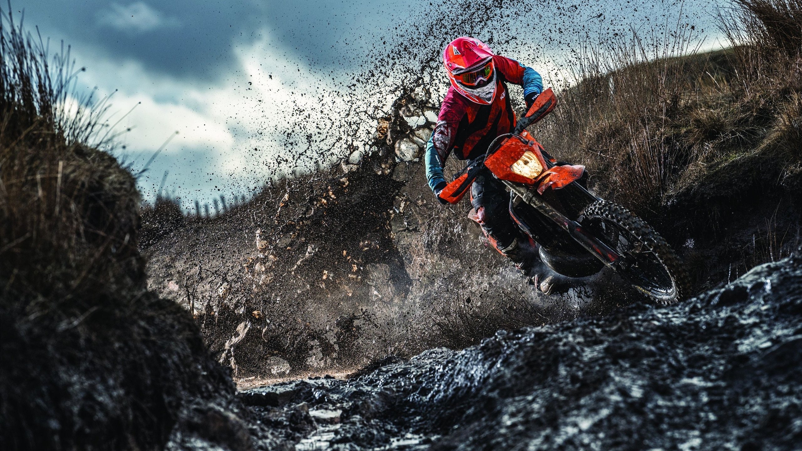 自由泳接力波兰配合默契，4×200自由泳接力全程回放