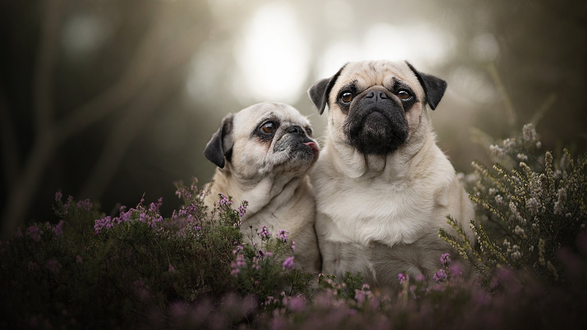 爱游戏 ayx 中国官方网站-太空狼人杀“脑力决战”全球总决赛火热登场