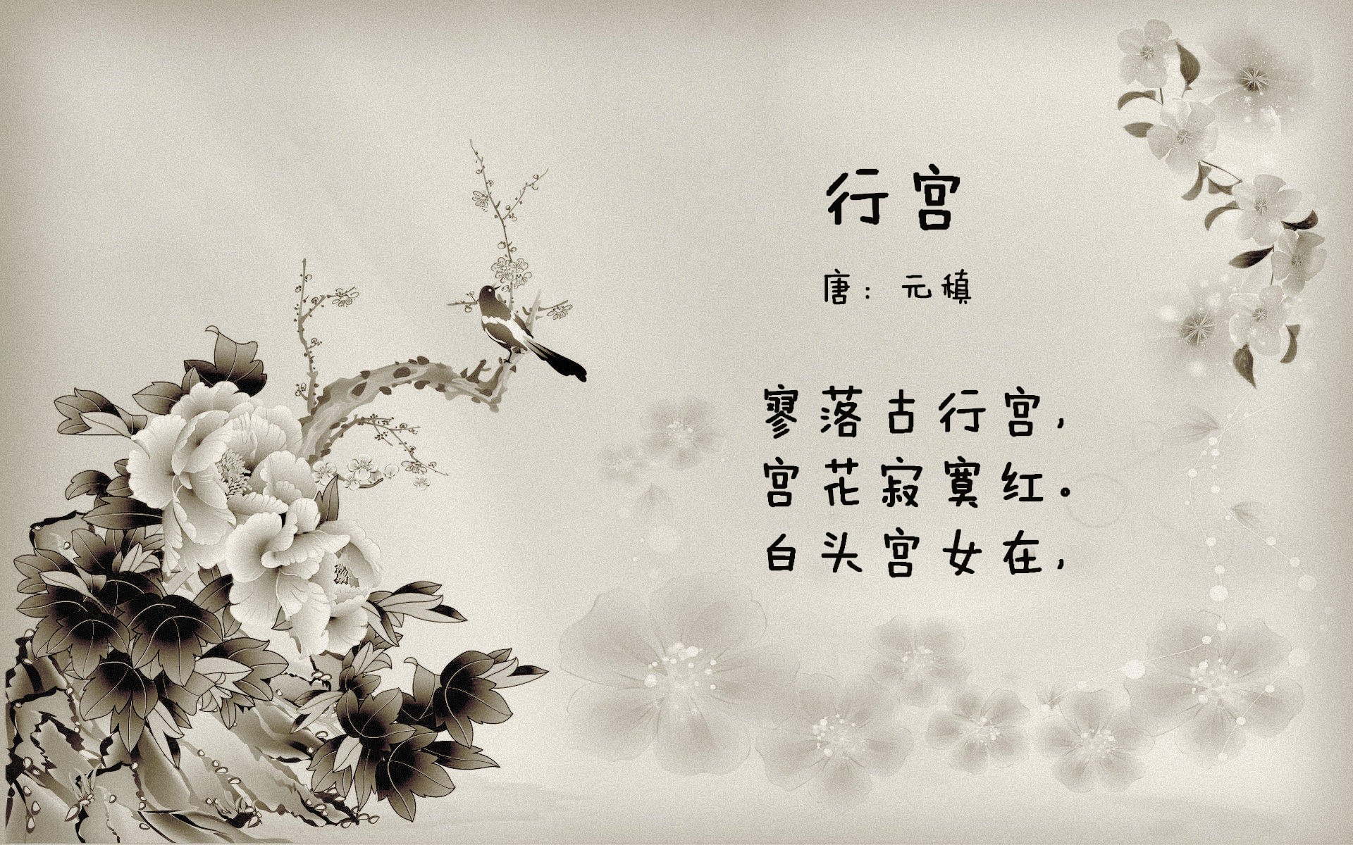 掘金发布“战术之声”播客，教练组分享备战内幕，掘金战术体系